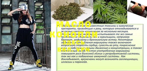 индика Рославль