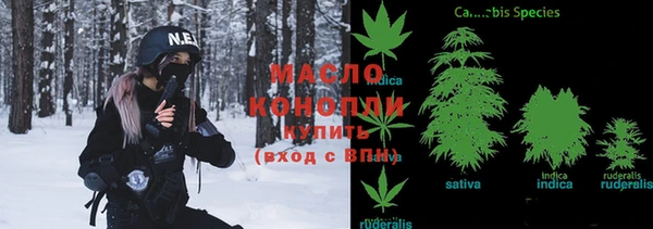 индика Рославль
