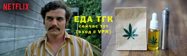 индика Рославль