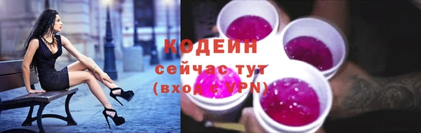 индика Рославль