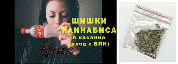 индика Рославль