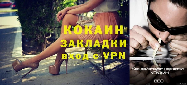 индика Рославль