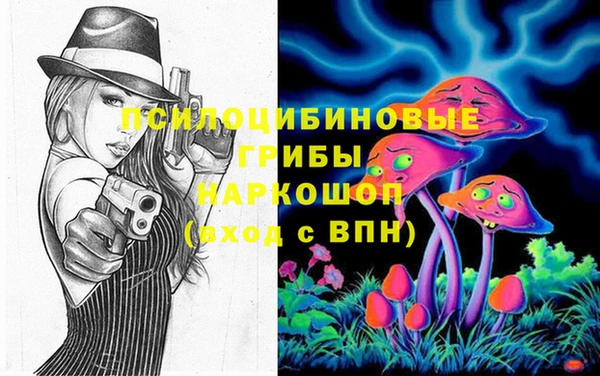 индика Рославль