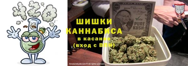 индика Рославль