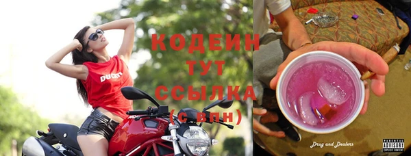 индика Рославль