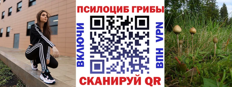 Купить  Томмот  Галлюциногенные грибы ЛСД 